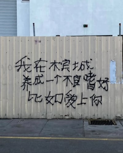 这是一张横版的原始街头拍摄图，画面主体是浅米色的波纹金属围挡，上面用黑色马克笔手写了一段充满巧思的告白文字：将“槟城”拆写为“木宾城”，内容为“我在木宾城 养成一个不良嗜好 比如爱上你”，用戏谑的“不良嗜好”来比喻爱上对方，直白又浪漫，带着街头随性的氛围感。围挡右侧有部分残留的白色贴纸和模糊的英文水印，背景能看到部分建筑墙面与地面的排水口，整体画面朴实却充满温情。