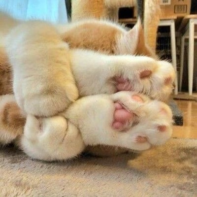 图片特写展示了一只橘猫蜷缩时的爪子，毛茸茸的白色与橘色毛发覆盖着粉嫩的肉垫，猫咪似乎正舒适地躺着休息。整体画面聚焦于柔软的爪部细节，传递出温暖治愈的氛围，让人感受到宠物的可爱与温馨。