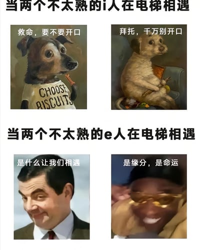 这张梗图通过四格图文拼接的形式，生动对比了i人和e人在电梯相遇时的不同反应。上半部分展示两个不太熟的i人相遇：左侧小狗瞪大双眼，配文“救命，要不要开口”，右侧小狗蜷缩身体，配文“拜托，千万别开口”，精准还原了i人社交时的内心挣扎与尴尬；下半部分展示e人相遇：左侧憨豆先生露出狡黠微笑，配文“是什么让我们相遇”，右侧金眼镜人物热情大笑，配文“是缘分，是命运”，夸张呈现了e人主动热络的社交状态。整体用幽默方式诠释了MBTI人格差异在日常场景中的体现。