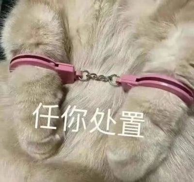 图片展示了一只白色猫咪的爪子特写，两只前爪被粉色塑料手铐象征性地锁住，手铐之间用小铁链连接。猫咪的毛发洁白蓬松，爪子肉垫清晰可见。图片中央有白色文字覆盖："任你处置"，形成一种反差萌的搞笑效果。整体画面聚焦于猫咪的爪子和手铐，突出了可爱与幽默的氛围。
